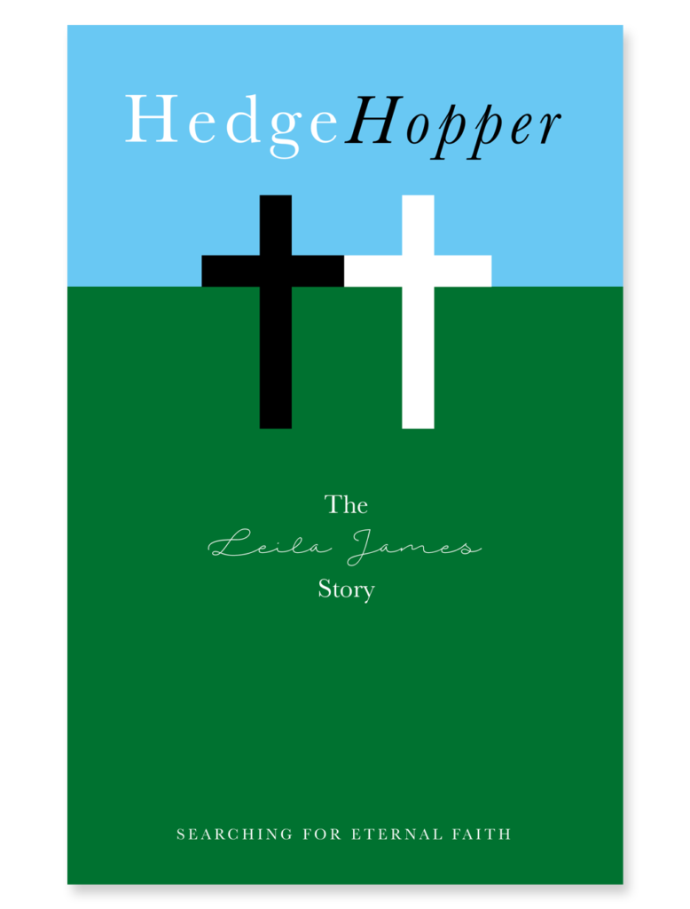 Book cover design concept Hedgehopper