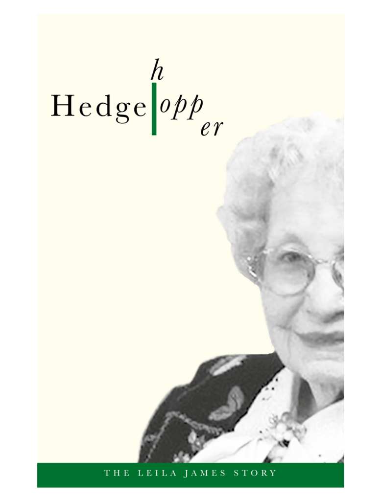 Book cover design concept Hedgehopper