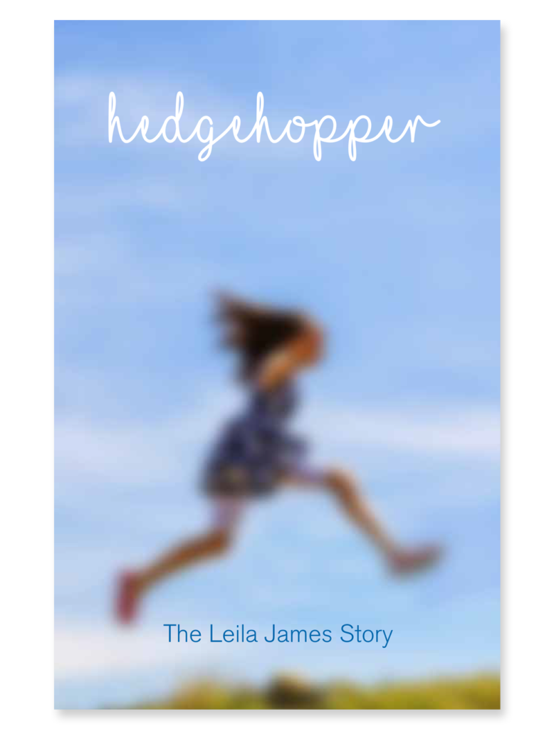 Book cover design concept Hedgehopper