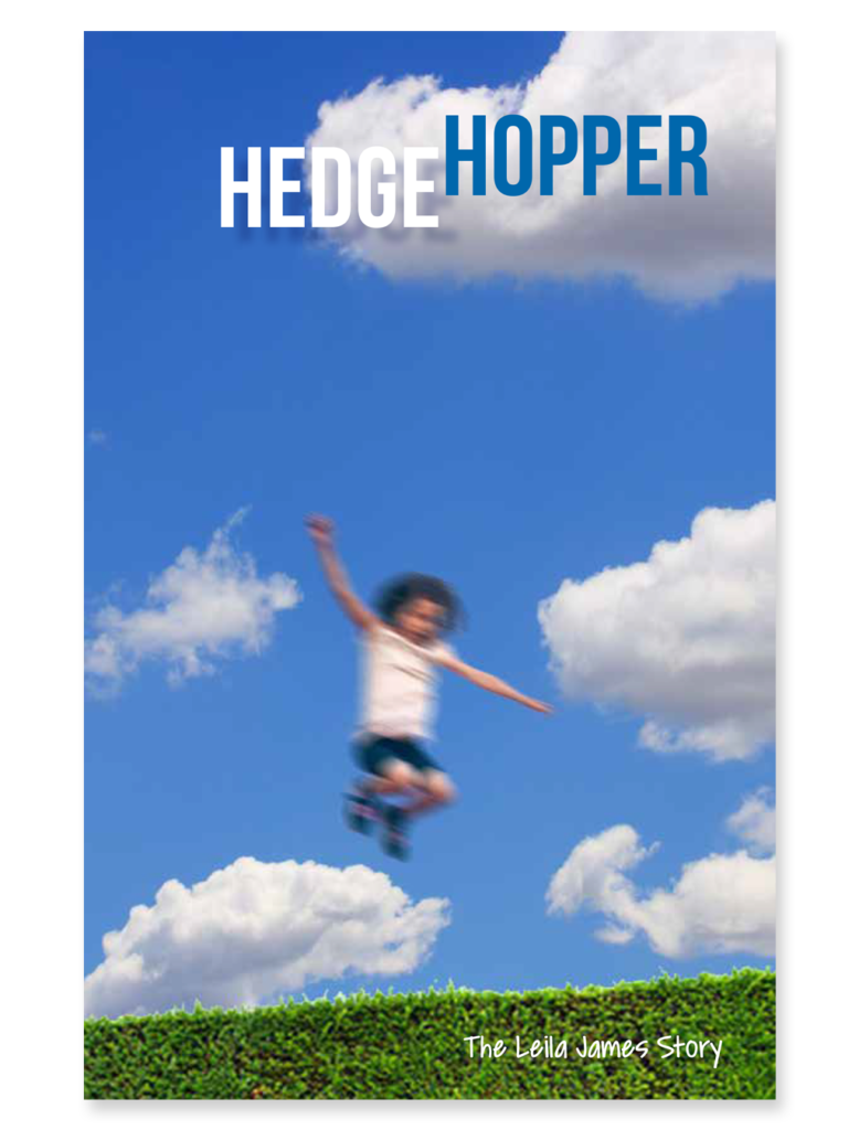 Book cover design concept Hedgehopper
